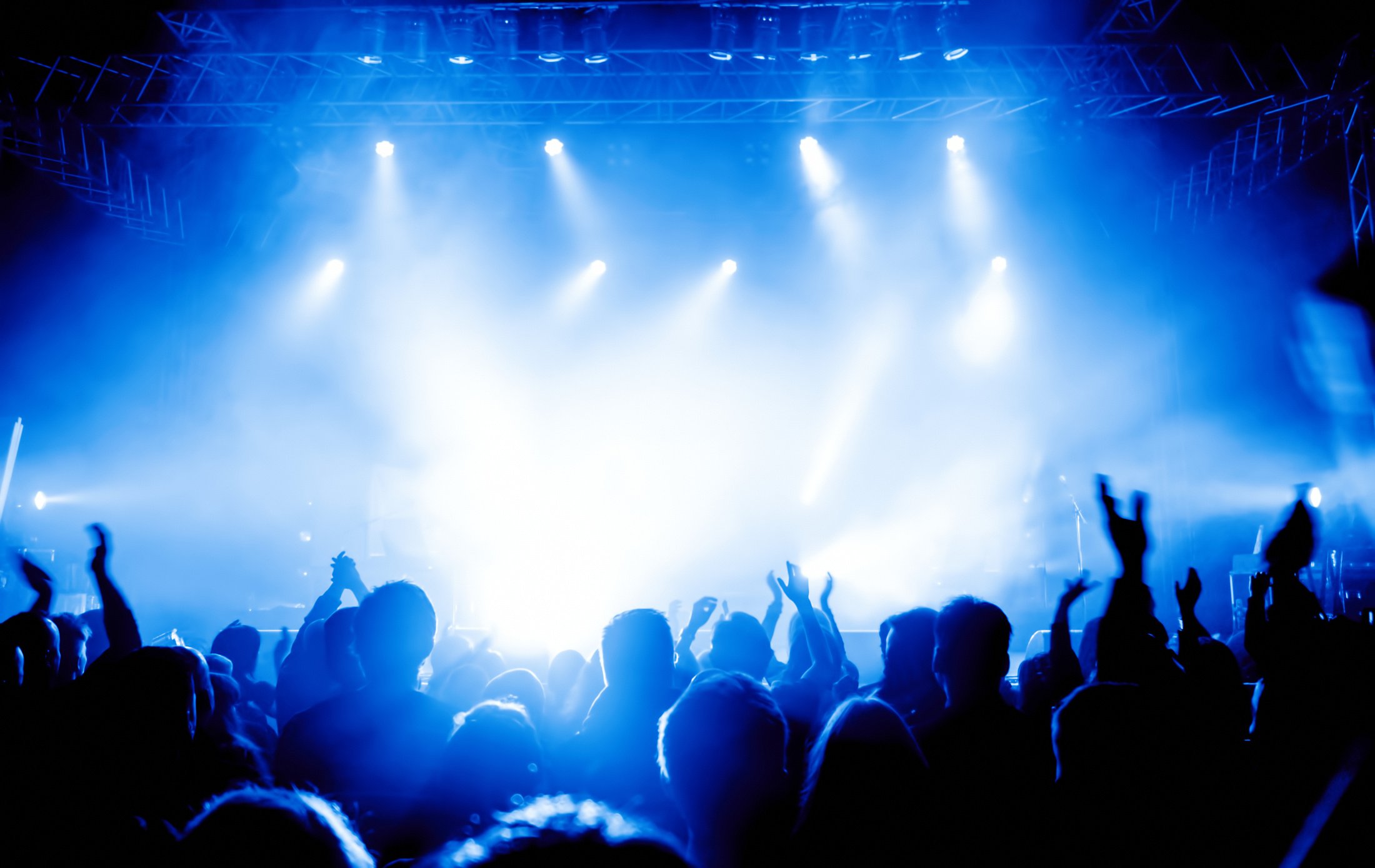 Concert Crowd